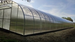 Tunel foliowy 7X30 szklarnia POLIWEGLAN 6mm